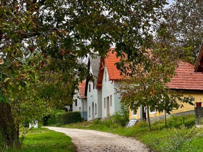Hagyományok, borok, történelem: a Piliscsévi Pincesor bájai