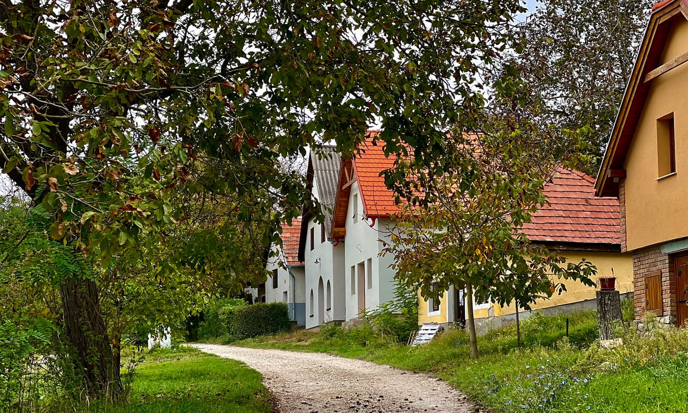 Hagyományok, borok, történelem: a Piliscsévi Pincesor bájai