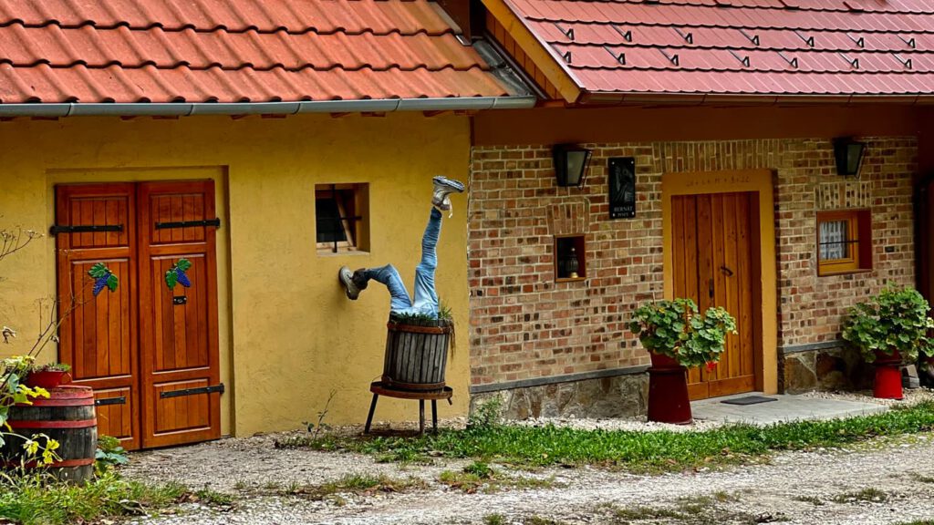 Hagyományok, borok, történelem: a Piliscsévi Pincesor bájai