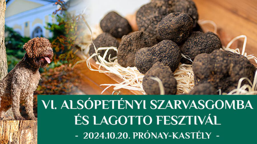 Szarvasgomba és Lagotto Fesztivál 2024 Alsópetény