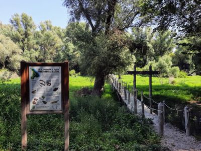 A Duna menti vadon: a rácalmási Ártéri tanösvény varázsa