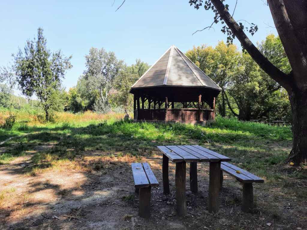 A Duna menti vadon: a rácalmási Ártéri tanösvény varázsa