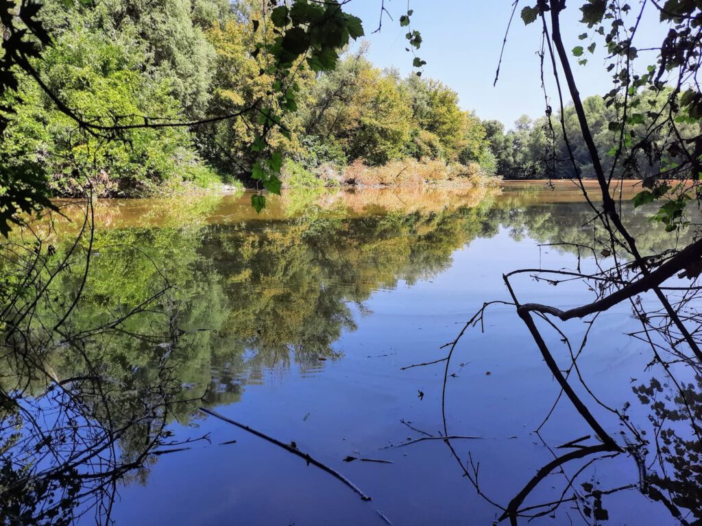 A Duna menti vadon: a rácalmási Ártéri tanösvény varázsa