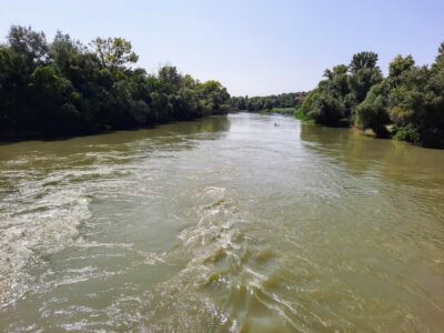 A Duna menti vadon: a rácalmási Ártéri tanösvény varázsa