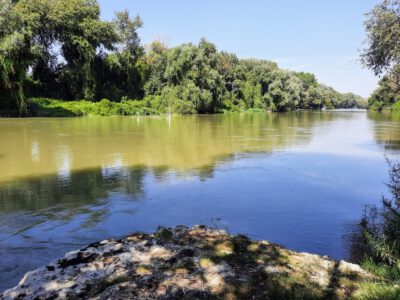 A Duna menti vadon: a rácalmási Ártéri tanösvény varázsa