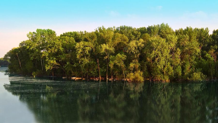 Tőserdő Kalandpark Lakitelek