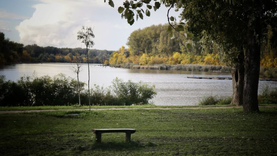 Színes lombok és csendes vizek: őszi túra Mártélyon a Holt-Tisza partján