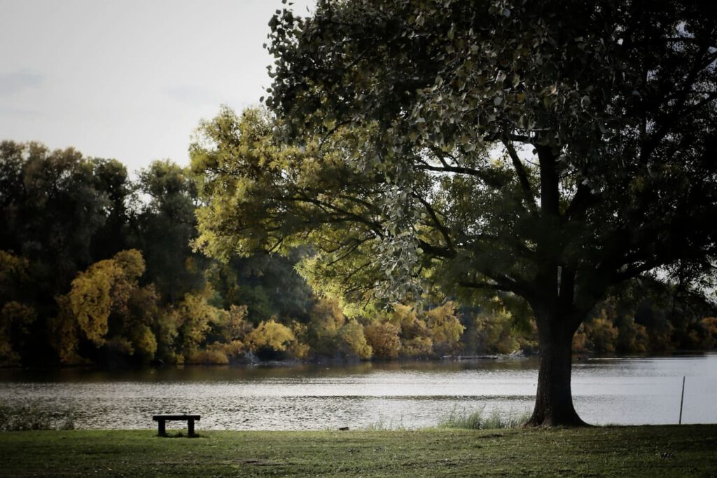 Színes lombok és csendes vizek: őszi túra Mártélyon a Holt-Tisza partján