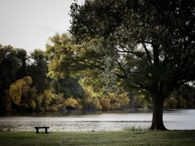 Színes lombok és csendes vizek: őszi túra Mártélyon a Holt-Tisza partján