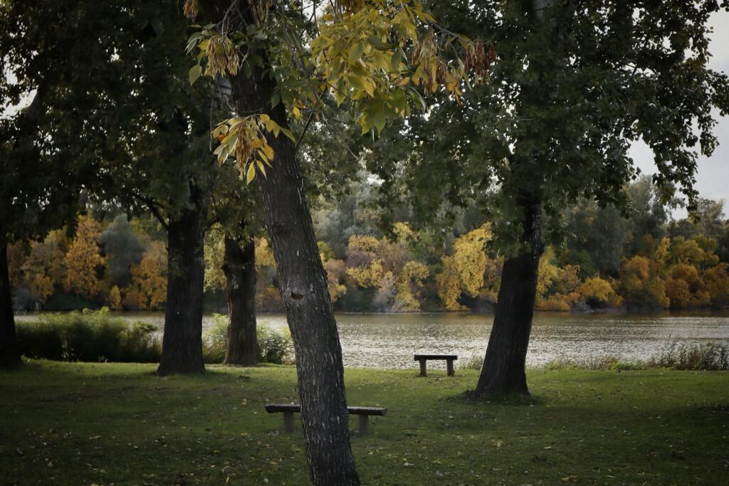 Színes lombok és csendes vizek: őszi túra Mártélyon a Holt-Tisza partján