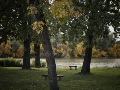 Színes lombok és csendes vizek: őszi túra Mártélyon a Holt-Tisza partján
