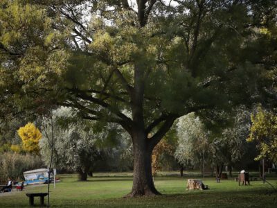 Színes lombok és csendes vizek: őszi túra Mártélyon a Holt-Tisza partján