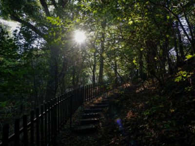 Prédikálószék, a Dunakanyar páratlan kilátópontja