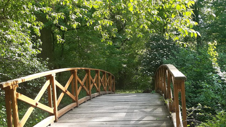 Tiszakürti Arborétum