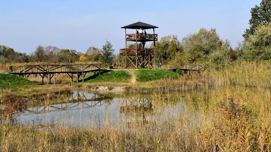 Zarándoklat a természetben: ősz a dabasi Szent Jakab tanösvényen