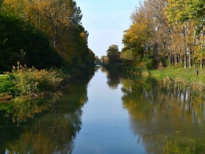 Zarándoklat a természetben: ősz a dabasi Szent Jakab tanösvényen