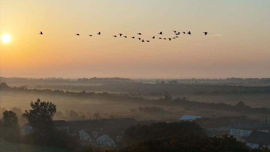 Ködbe burkolózott puszta: Hortobágy egy őszi hajnalon
