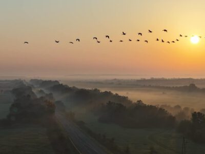 Ködbe burkolózott puszta: Hortobágy egy őszi hajnalon