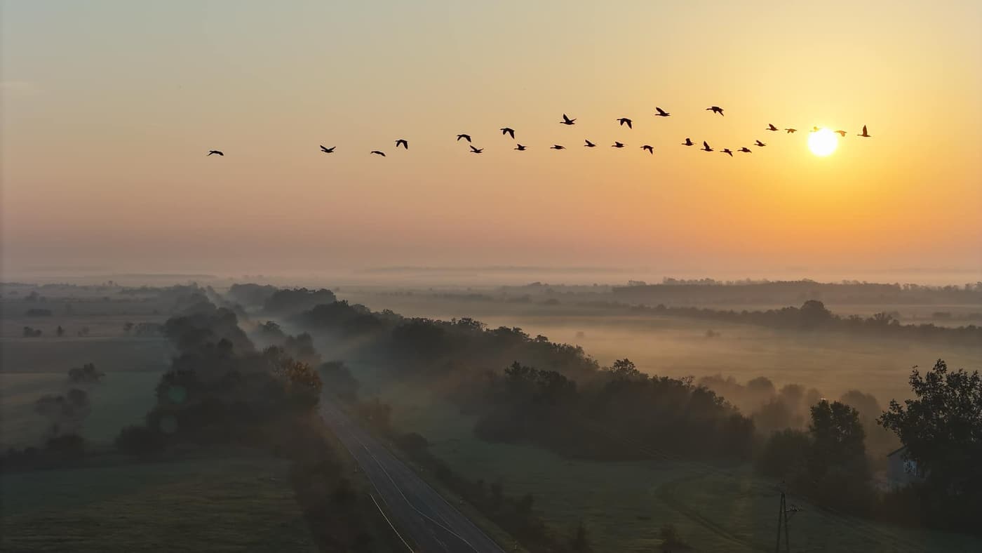 Ködbe burkolózott puszta: Hortobágy egy őszi hajnalon