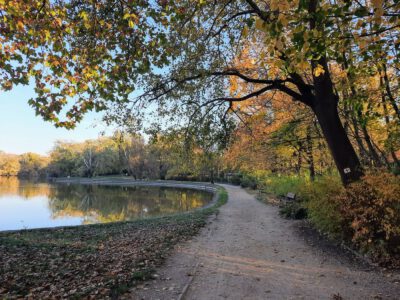 Az angolkerti romantika szívében – barangolás a tatai Cseke-tó partján
