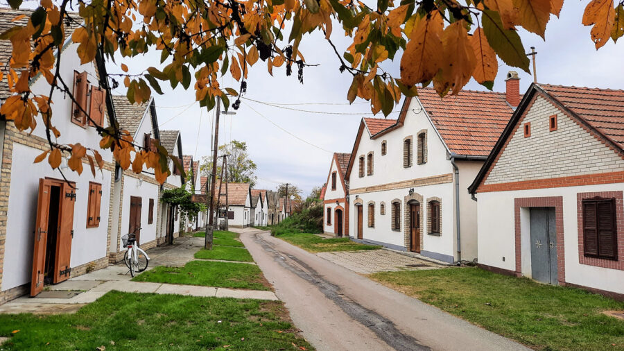 Hajósi Pincefalu