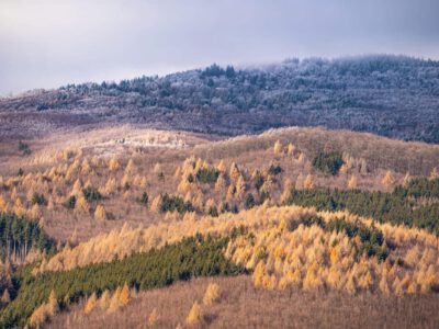 Hó és dér meséje – Galyatető, a tél csodálatos birodalma