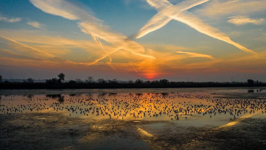Öt évtizedes jubileumát ünnepli a Kiskunsági Nemzeti Park