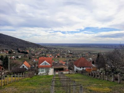 A Kopasz-hegyi kilátó: a Villányi-hegység kőből épült bástyája