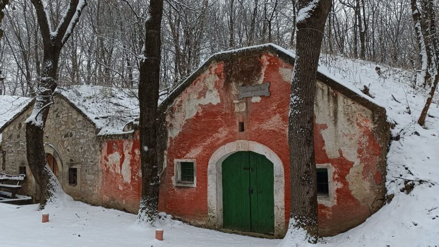 Hó alatt rejtőző történetek – a Pátyi Pincehegy varázsa télen