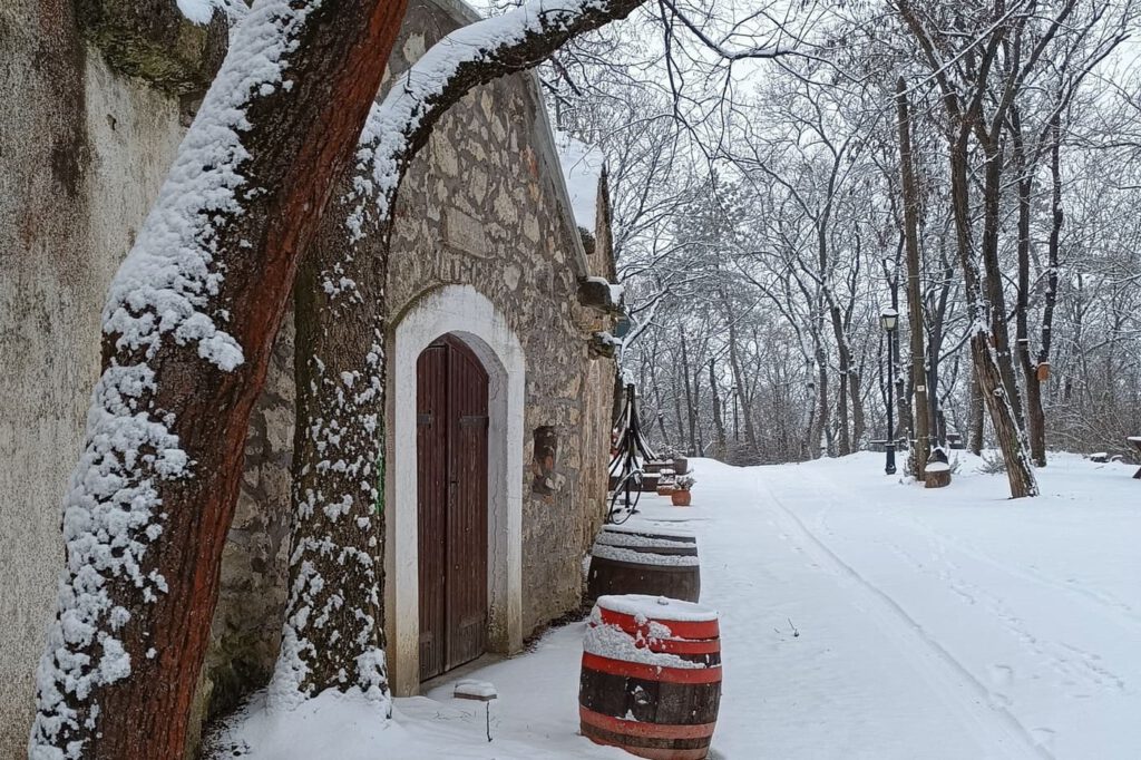 Hó alatt rejtőző történetek – a Pátyi Pincehegy varázsa télen