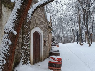 Hó alatt rejtőző történetek – a Pátyi Pincehegy varázsa télen