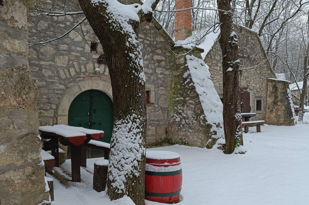 Hó alatt rejtőző történetek – a Pátyi Pincehegy varázsa télen