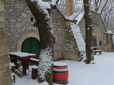 Hó alatt rejtőző történetek – a Pátyi Pincehegy varázsa télen