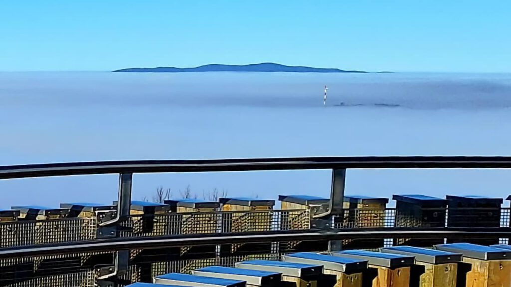 A tél misztikus világa a Pilis tetején