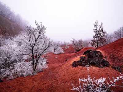 Vöröslő táj és zúzmaraköntös: téli barangolás a Gánti Bauxitföldtani Parkban