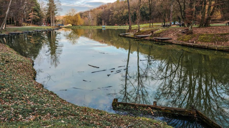 A Zselic felfedezésre váró kincse: barangolj a Gyertyánosi-parkerdőben
