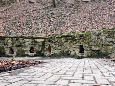 A Zselic felfedezésre váró kincse: barangolj a Gyertyánosi-parkerdőben