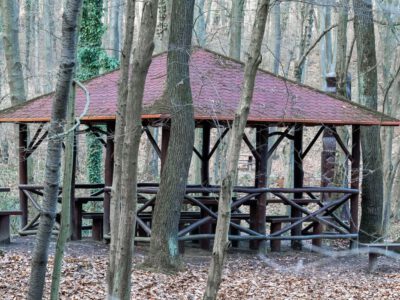 A Zselic felfedezésre váró kincse: barangolj a Gyertyánosi-parkerdőben