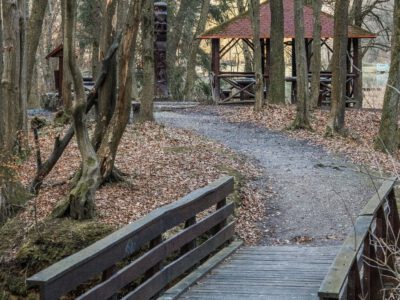 A Zselic felfedezésre váró kincse: barangolj a Gyertyánosi-parkerdőben