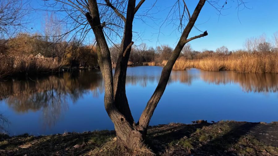 Csodálatos táj, csendes víz – a gyömrői Tőzeges-tó varázsa