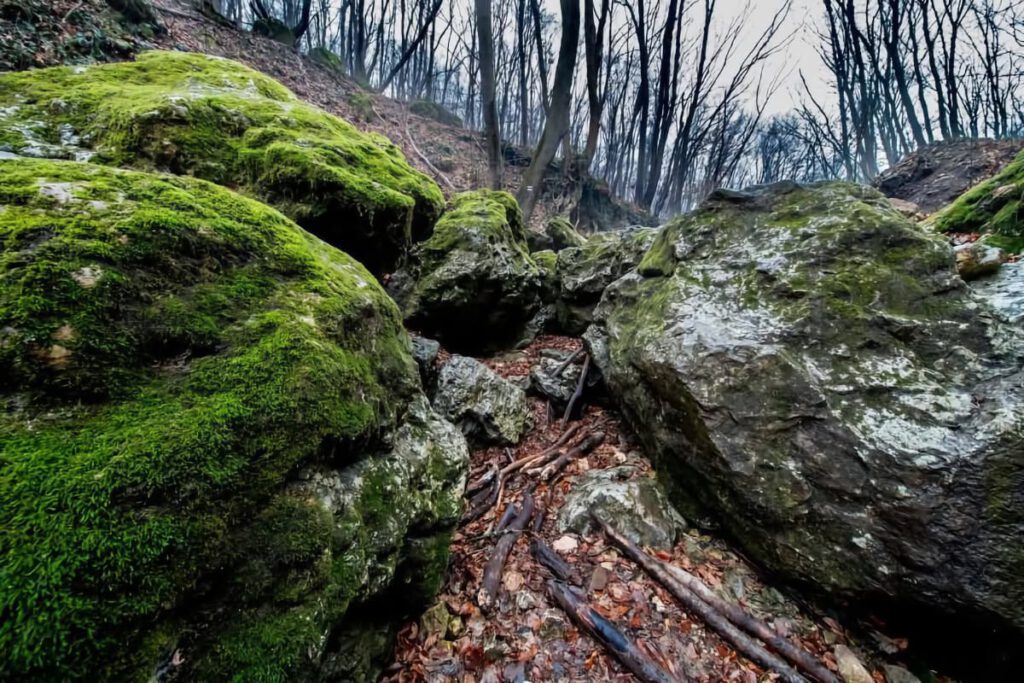 Dera-szurdok: Kalandos túra a Pilis mesebeli szurdokvölgyében