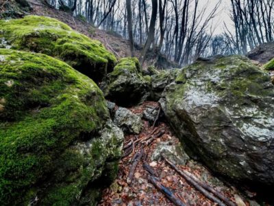 Dera-szurdok: Kalandos túra a Pilis mesebeli szurdokvölgyében
