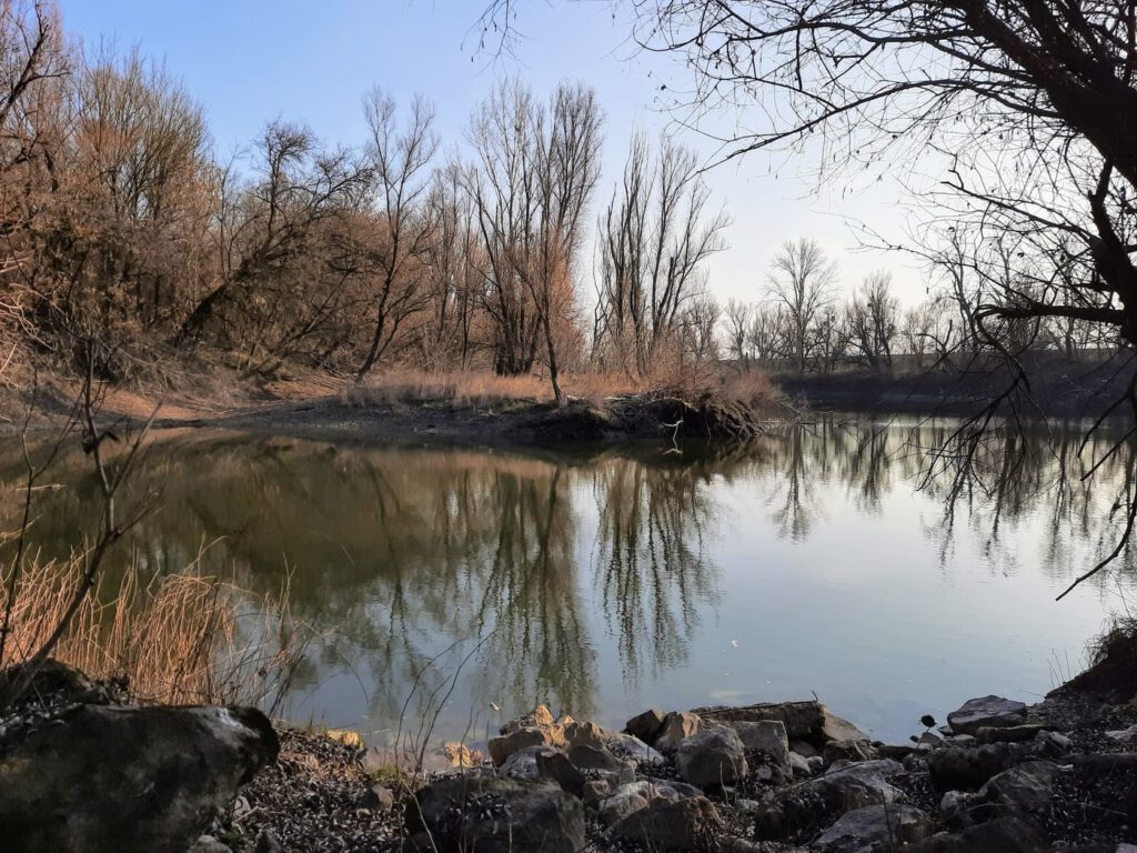 A Duna formálta rejtett paradicsom – Fedezd fel a mohácsi Cigány-zátonyt