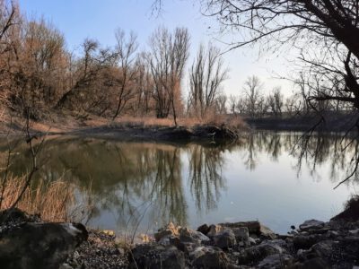 A Duna formálta rejtett paradicsom – Fedezd fel a mohácsi Cigány-zátonyt