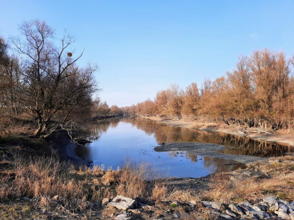 A Duna formálta rejtett paradicsom – Fedezd fel a mohácsi Cigány-zátonyt