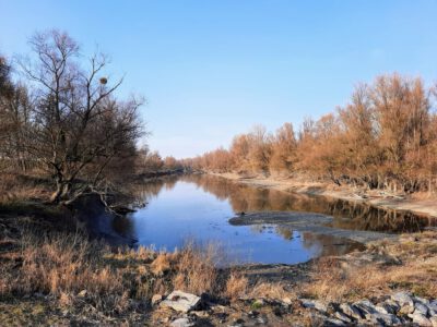 A Duna formálta rejtett paradicsom – Fedezd fel a mohácsi Cigány-zátonyt