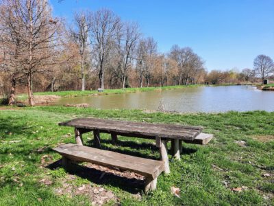 Tavaszi úti tipp: Pellérd és a Brázay-kastély lenyűgöző parkja