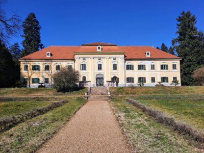 Virágtenger és tavaszi varázslat a Sellyei Arborétumban