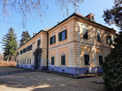 Virágtenger és tavaszi varázslat a Sellyei Arborétumban