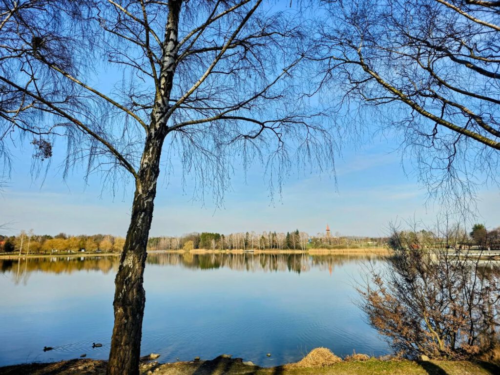A Gébárti-tó – Zalaegerszeg zöld szíve, ahol a természeté a főszerep
